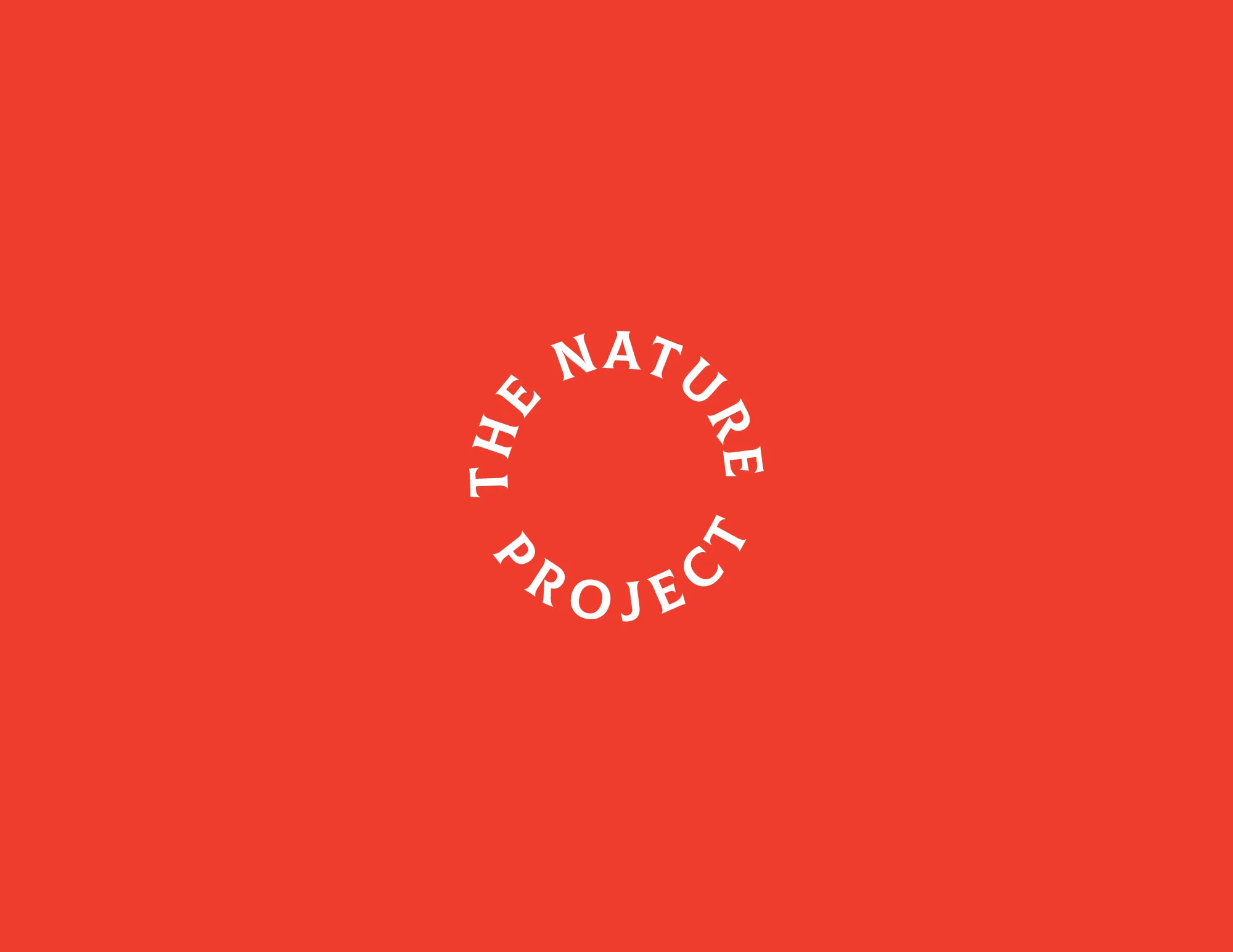 TNP6.jpg