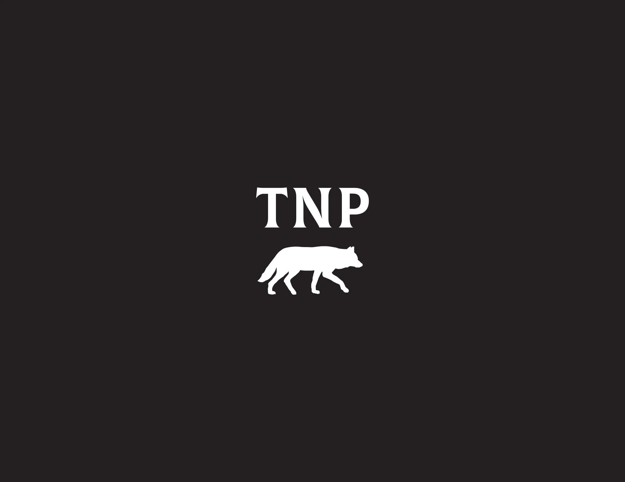 TNP2.jpg