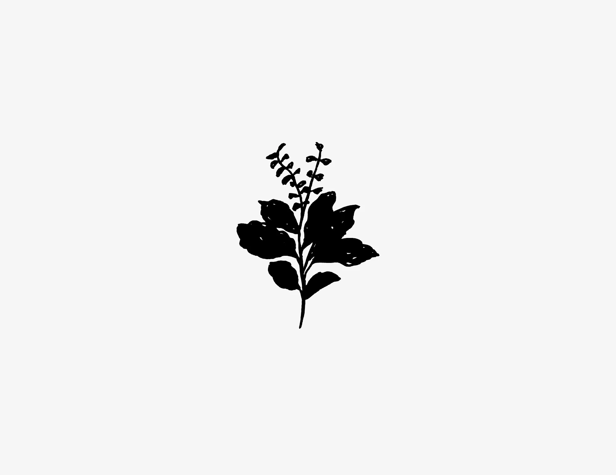 LeonardFarm_Herb4.jpg