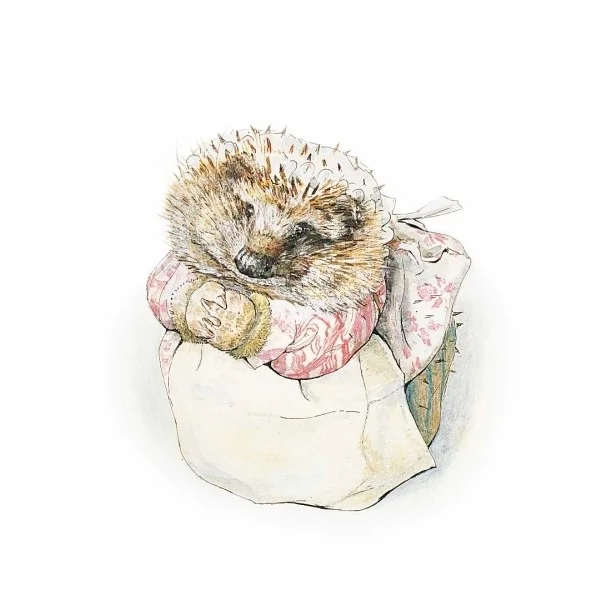 Confessions of a hedgehog