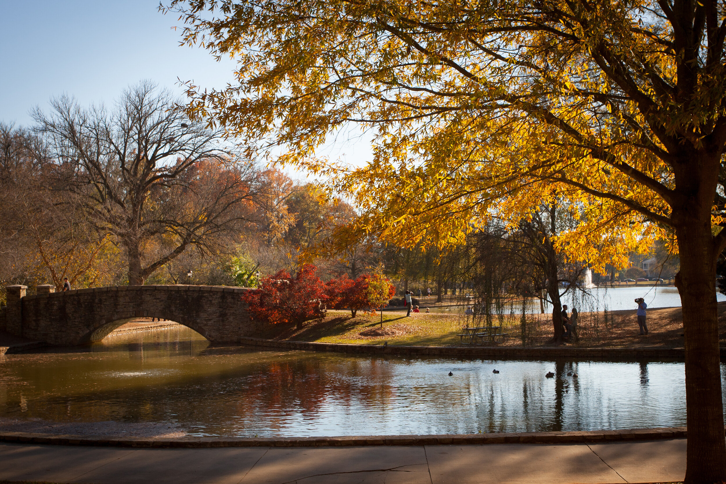 Favorite Places For Photoshoots In Charlotte Nc Dwa Visuals