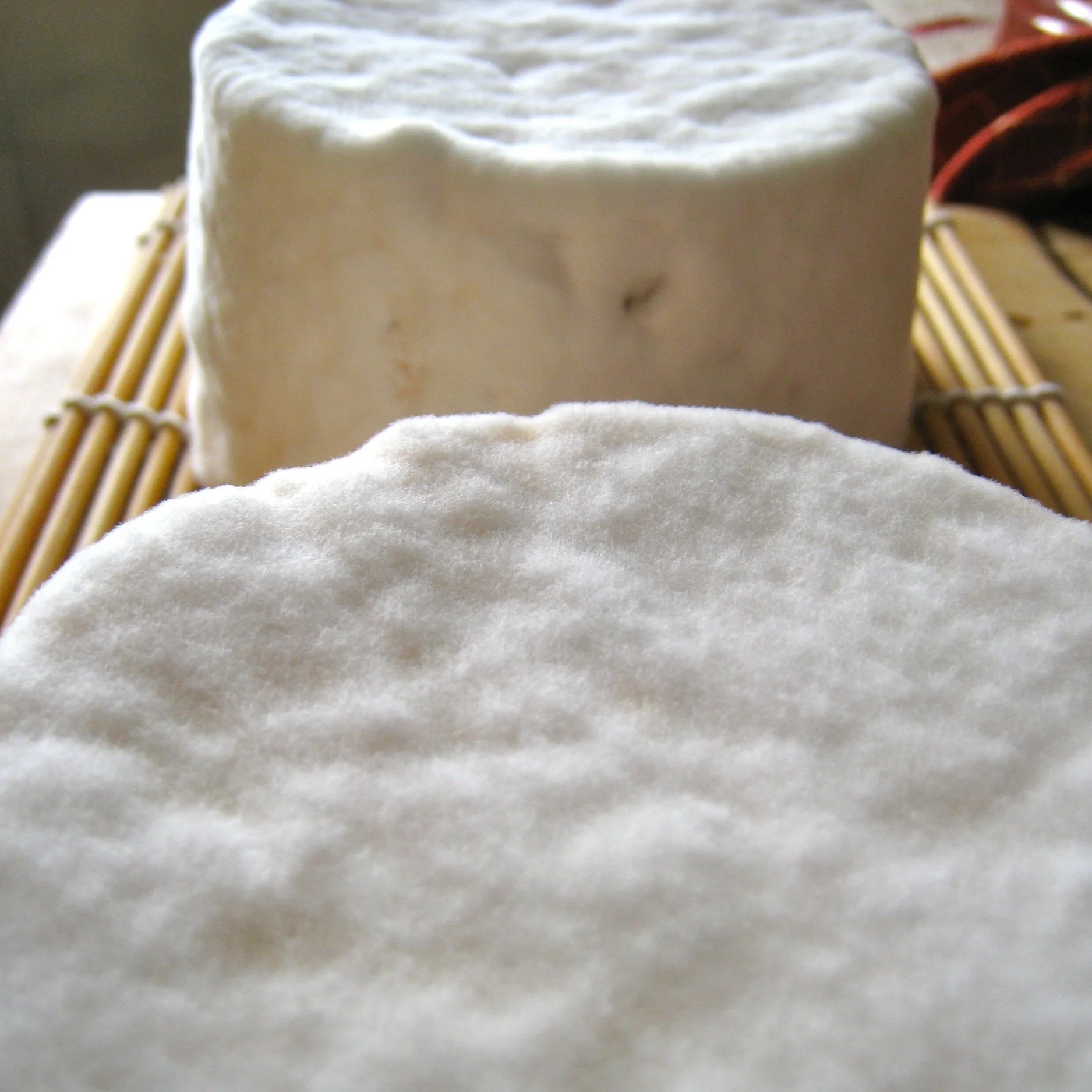 11_mold_closeup.jpg