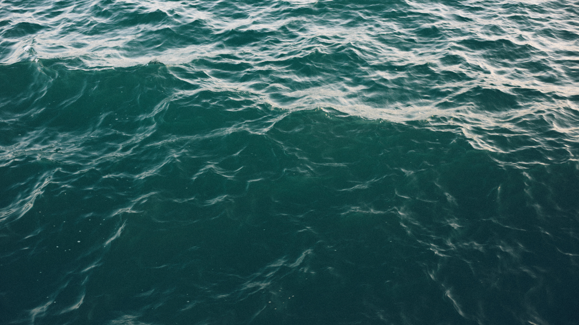 Untitled design (4).png