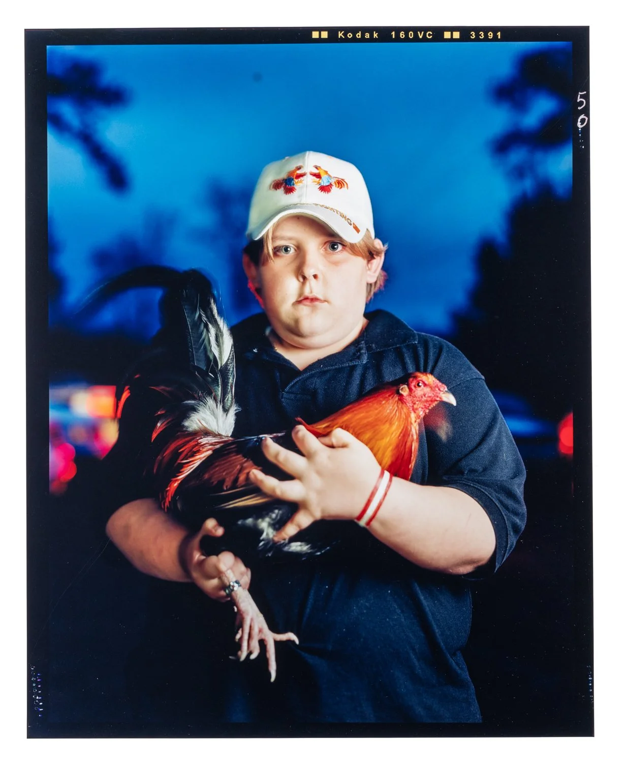 The Cockfighters 02 by Craig Blankenhorn