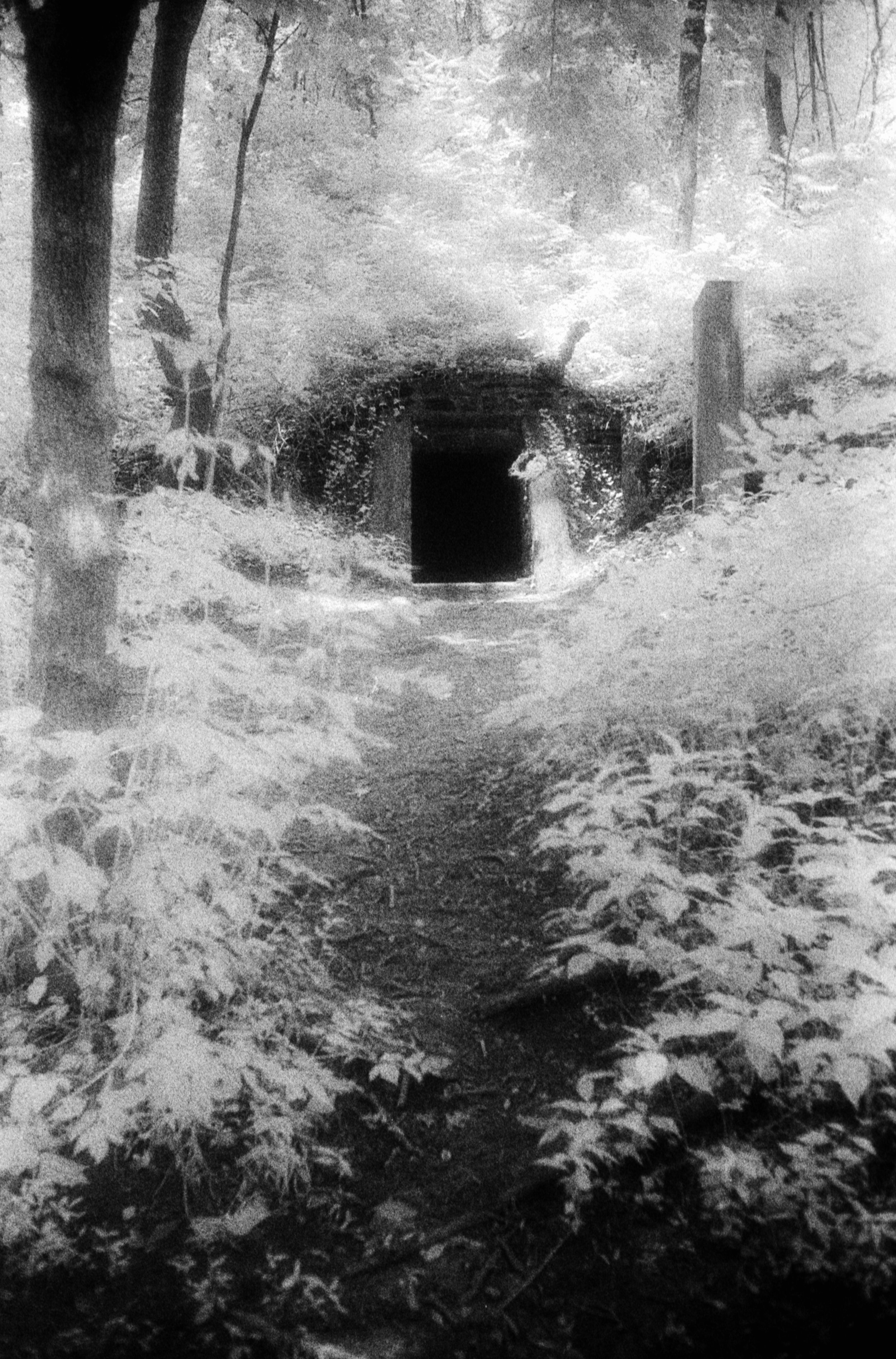 Forbidden Light #16 by Dale McCarthy