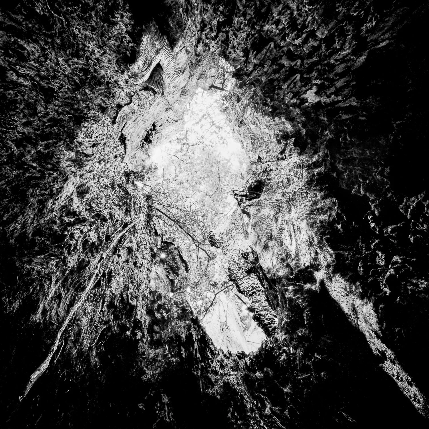 68986813-4A16-4AC4-9C54-EF8866D9C8AF