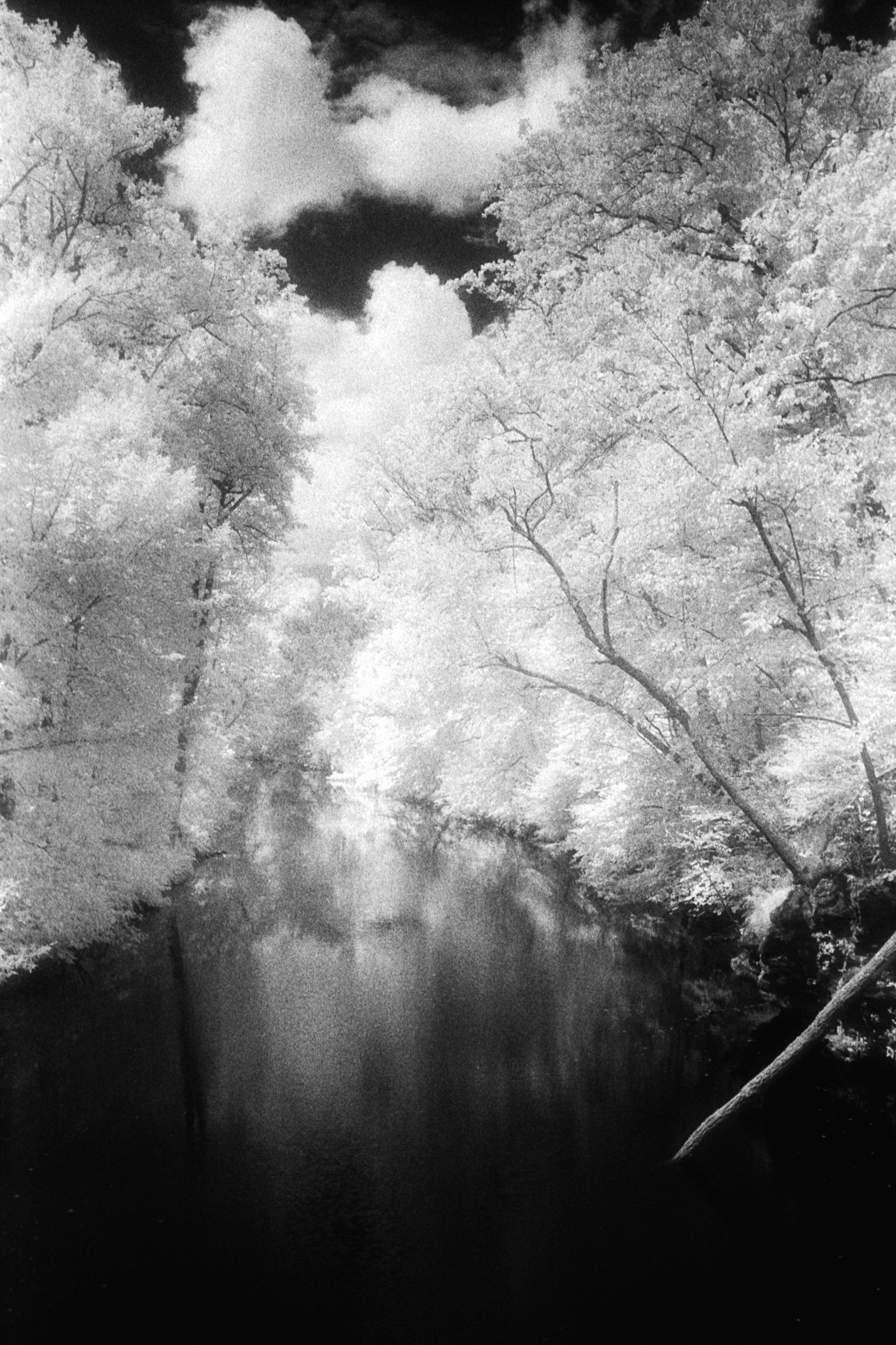 Forbidden Light #8 by Dale McCarthy