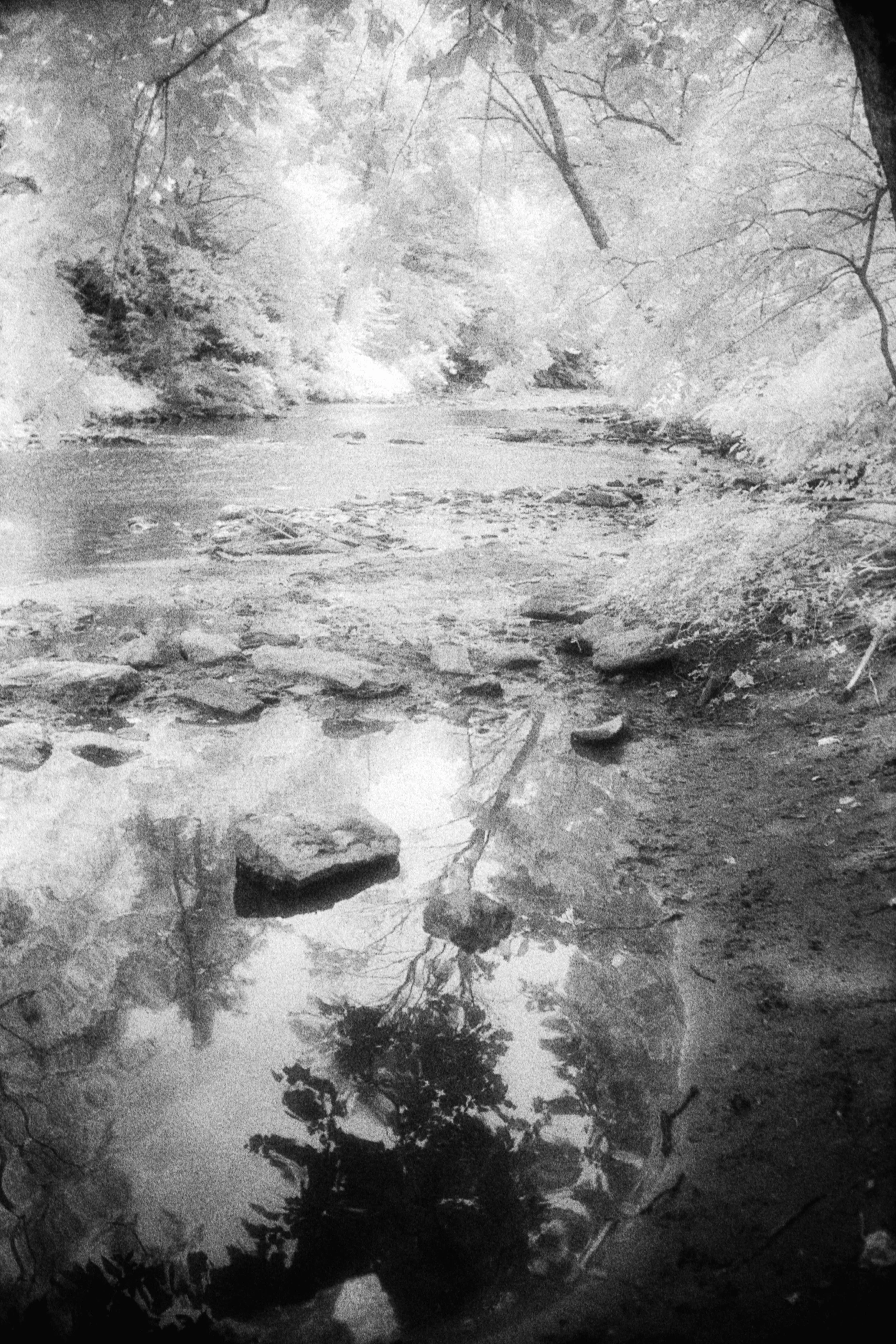 Forbidden Light #63 by Dale McCarthy