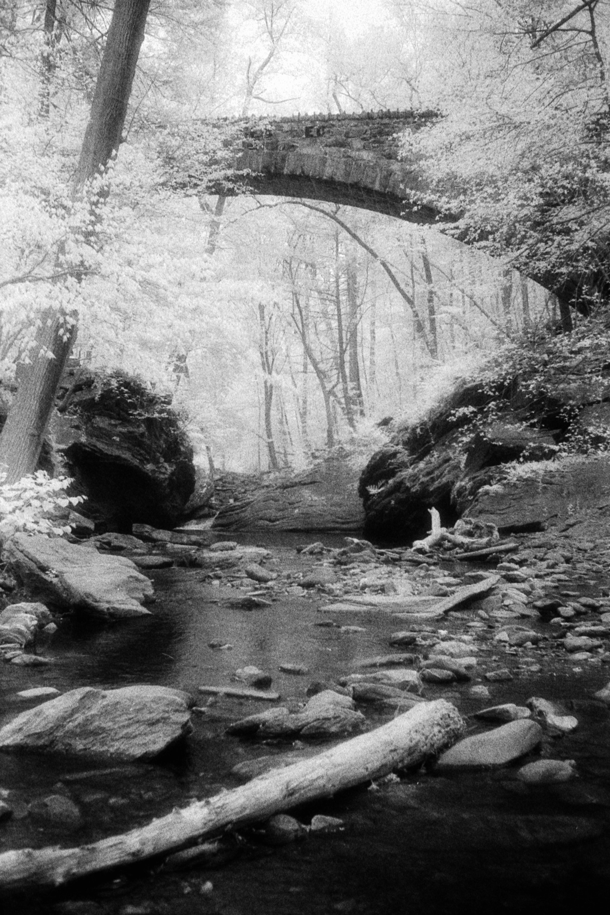 Forbidden Light #52: Cresheim Creek Bridge by Dale McCarthy