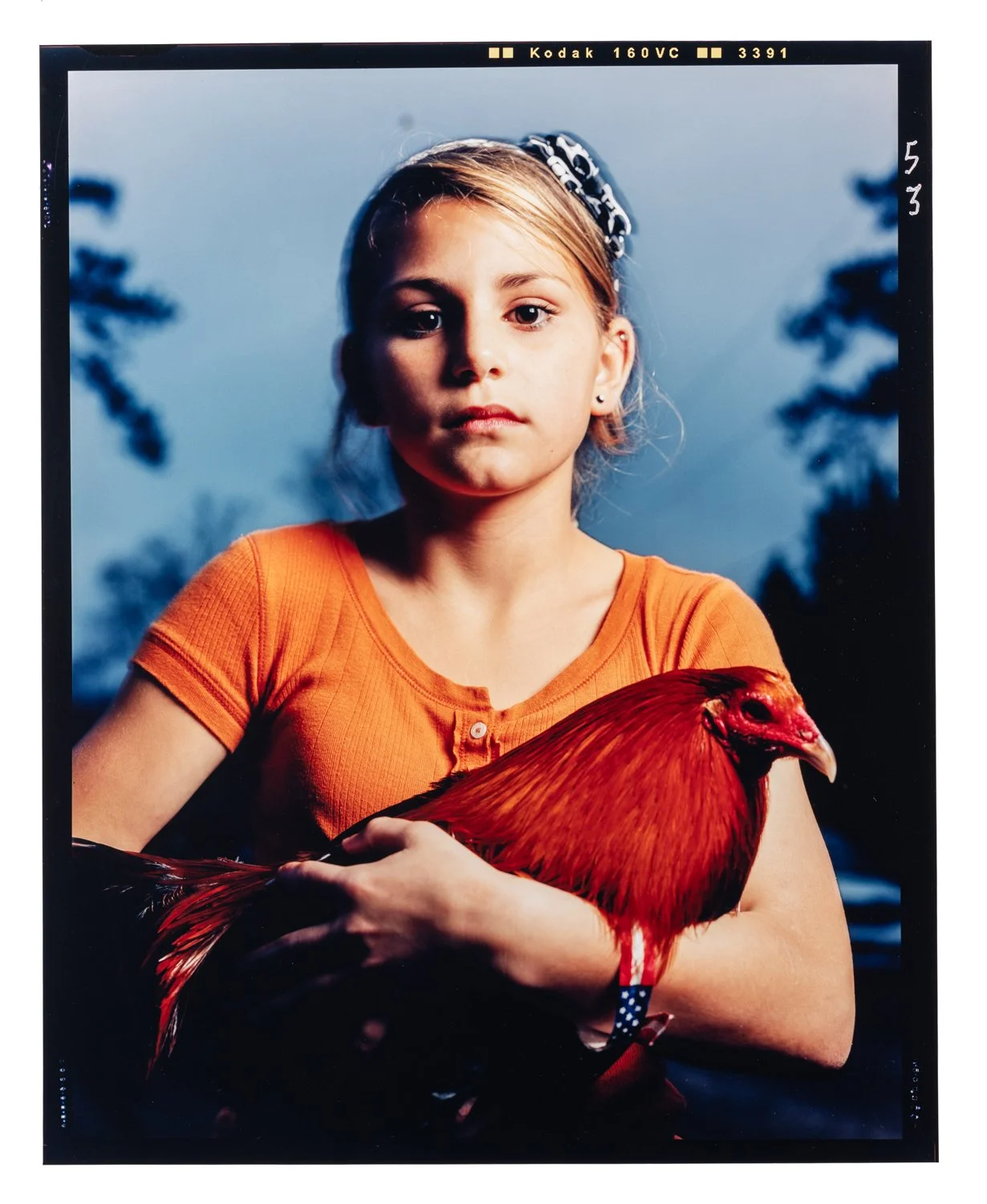 The Cockfighters 05 by Craig Blankenhorn