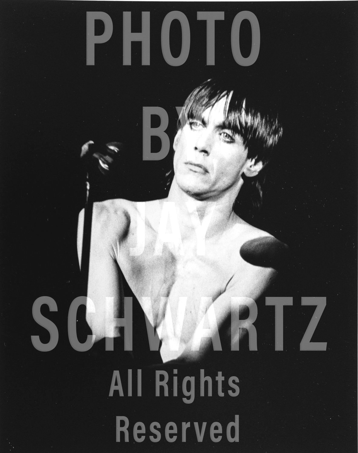 Iggy Pop at the Tower Theater, 3/19/77 by Jay Schwartz