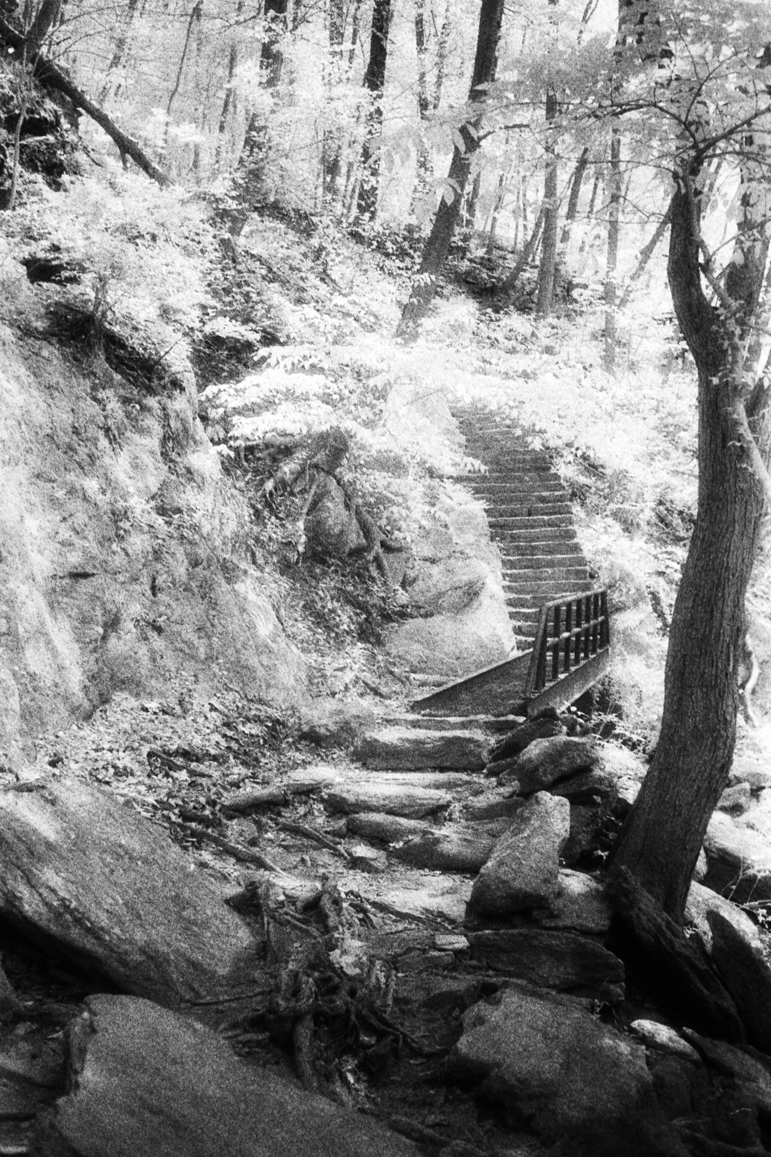 Forbidden Light #53 by Dale McCarthy