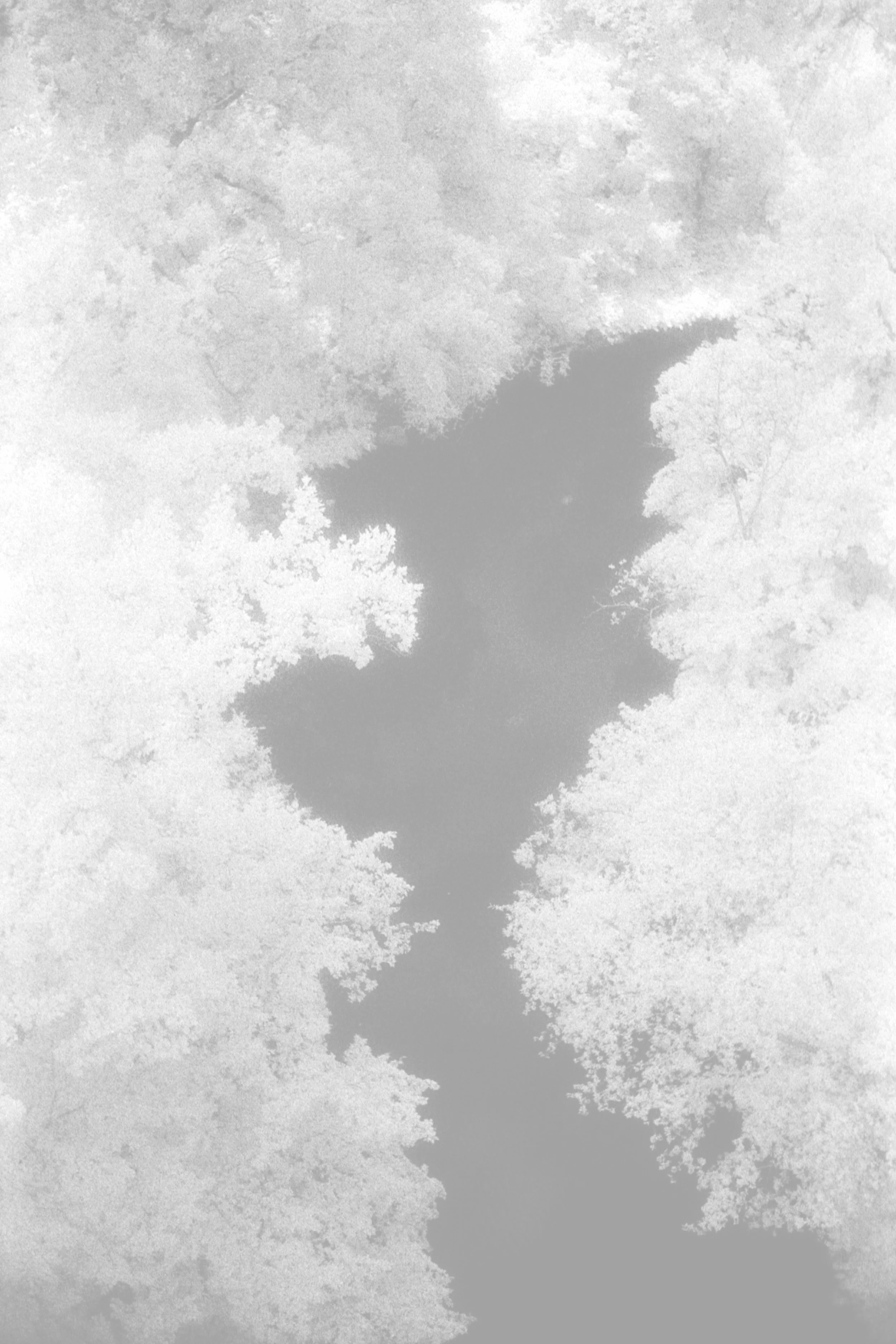 DaleMcCarthy014 copy.jpg