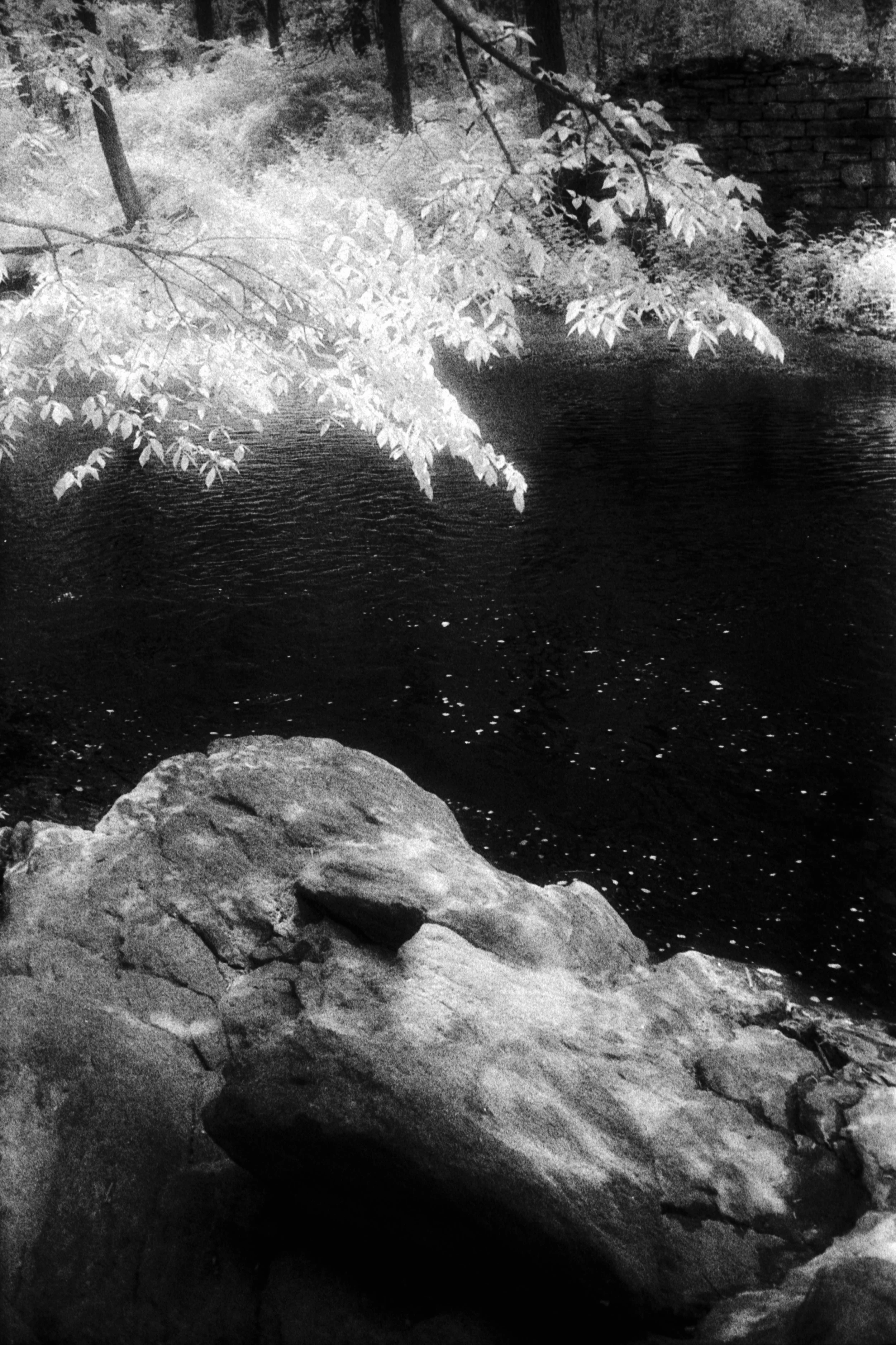 Forbidden Light #19 by Dale McCarthy