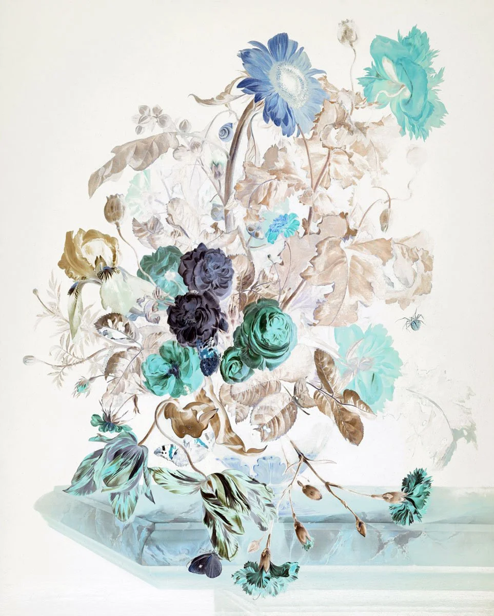 A bouquet with a sunflower, roses, an iris, tulips, carnations and a camellia (Dutch, 17th century), 2024 by Stephen Perloff