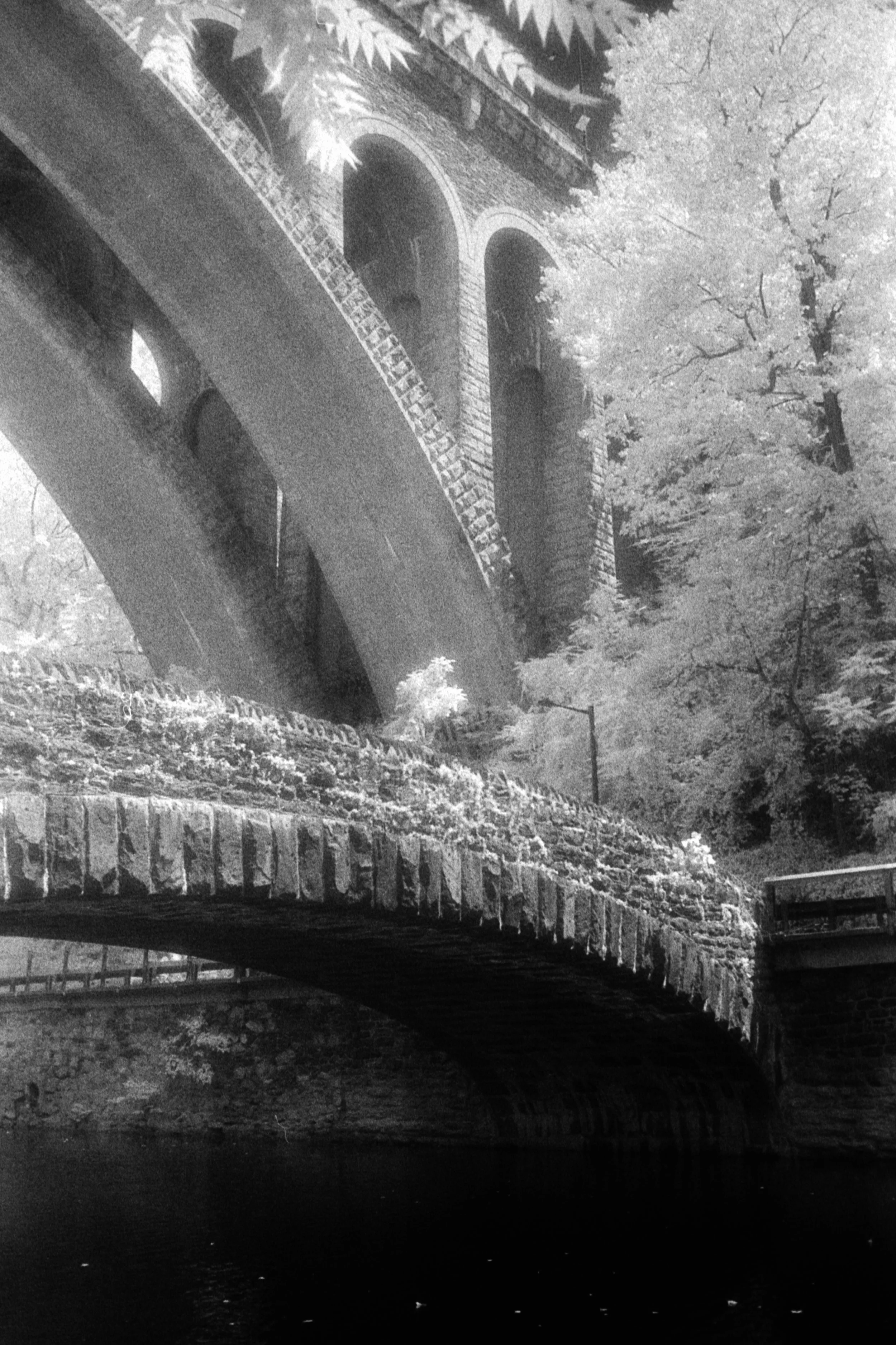 Forbidden Light #60 by Dale McCarthy