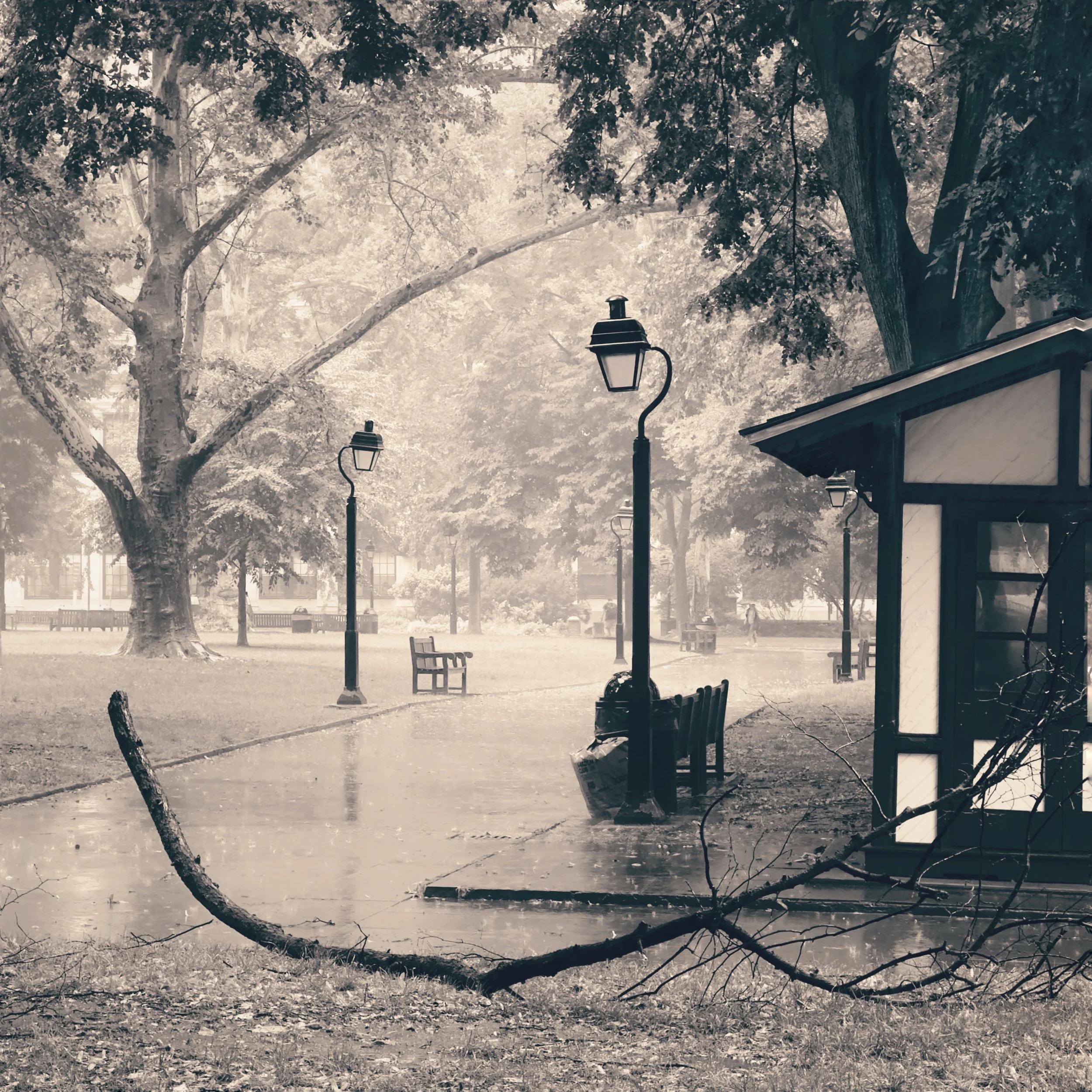 Silver Rain by Joseph G Brin