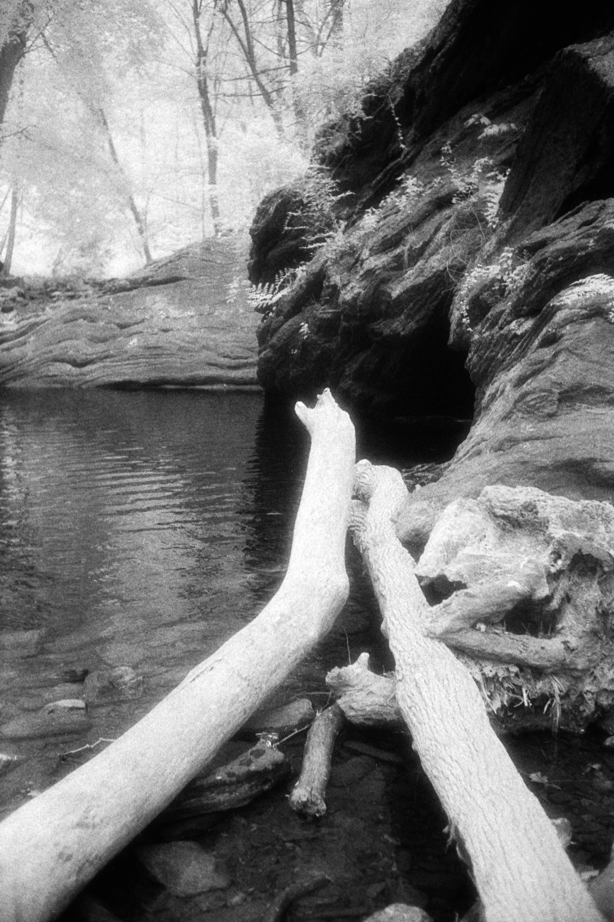 Forbidden Light #51 by Dale McCarthy