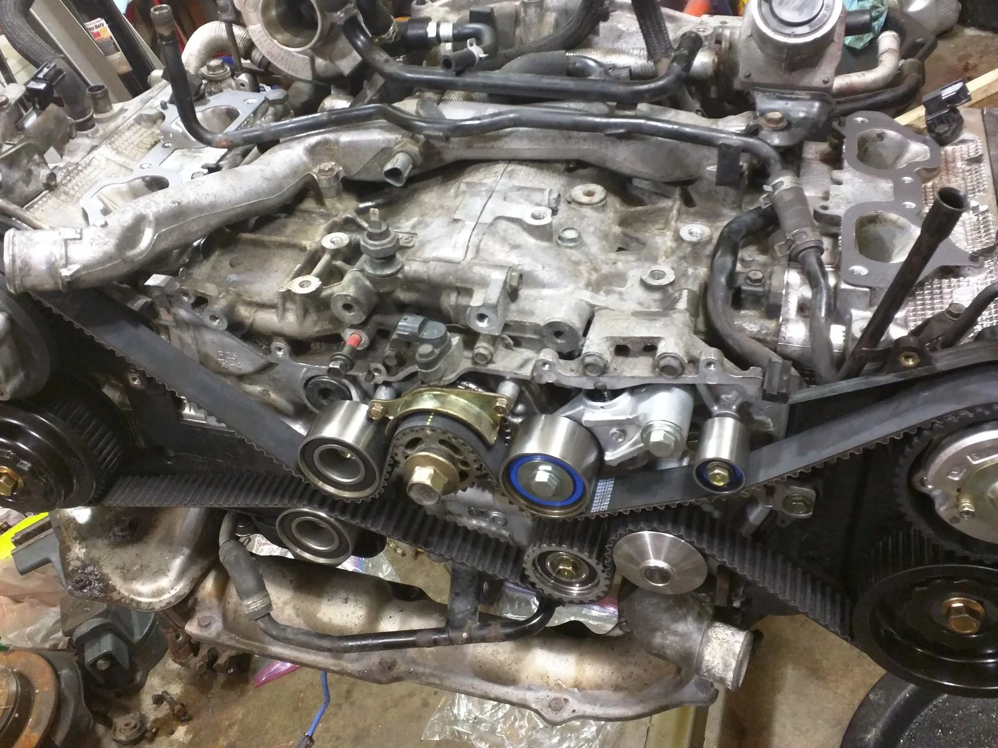 Gates timing belt kit! What's in the box!??!??