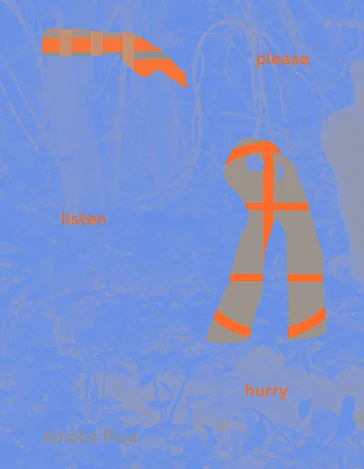 Pica_pleaselistenhurryothersspeakbetter_cover-1.jpg