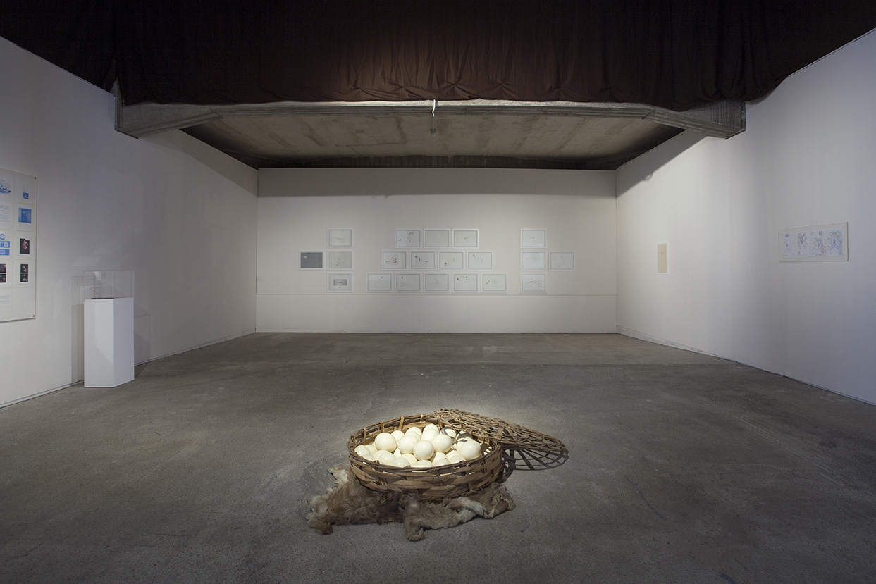 Photo A. Benestante