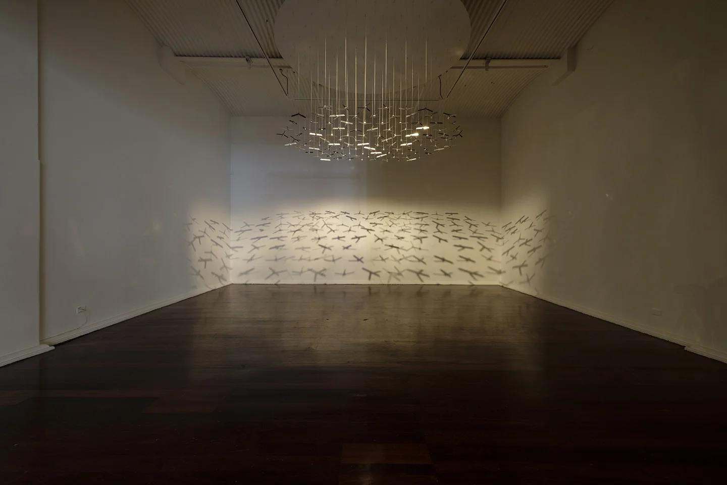 Abdullah M I Syed, Photo A. Bianchetti