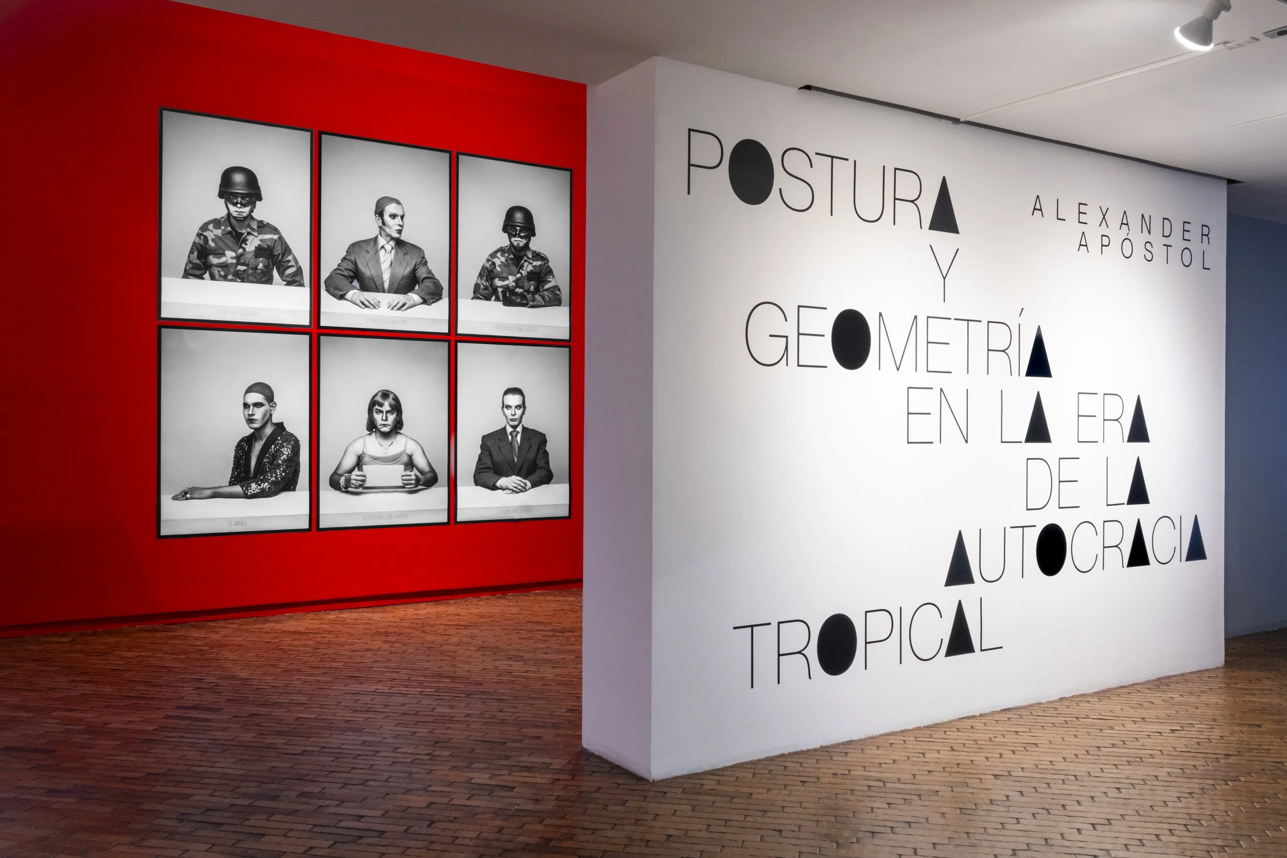 mambo- Alexander Apóstol - Vista de intalación - GDzg-3.jpg