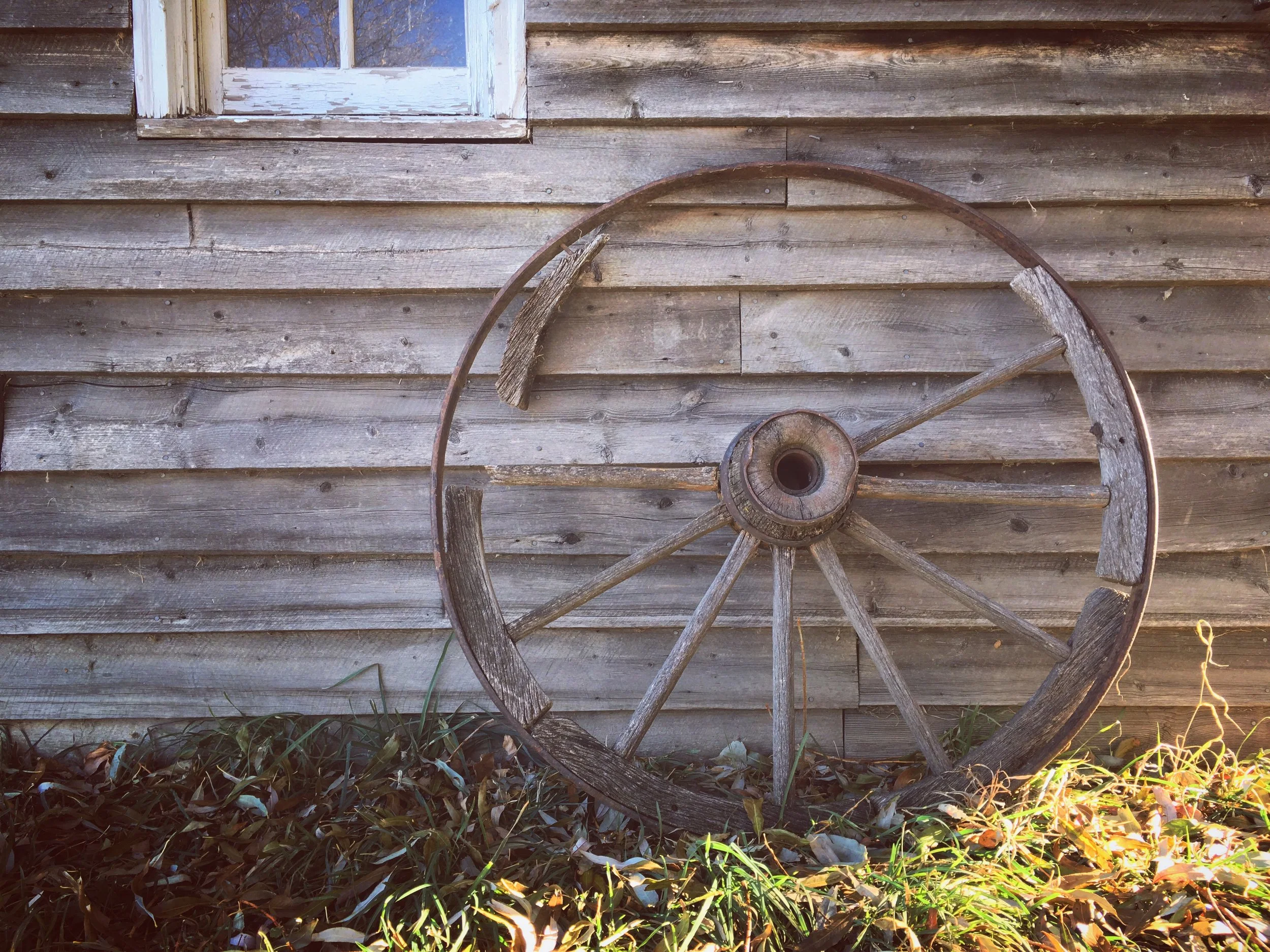 Life Wheel