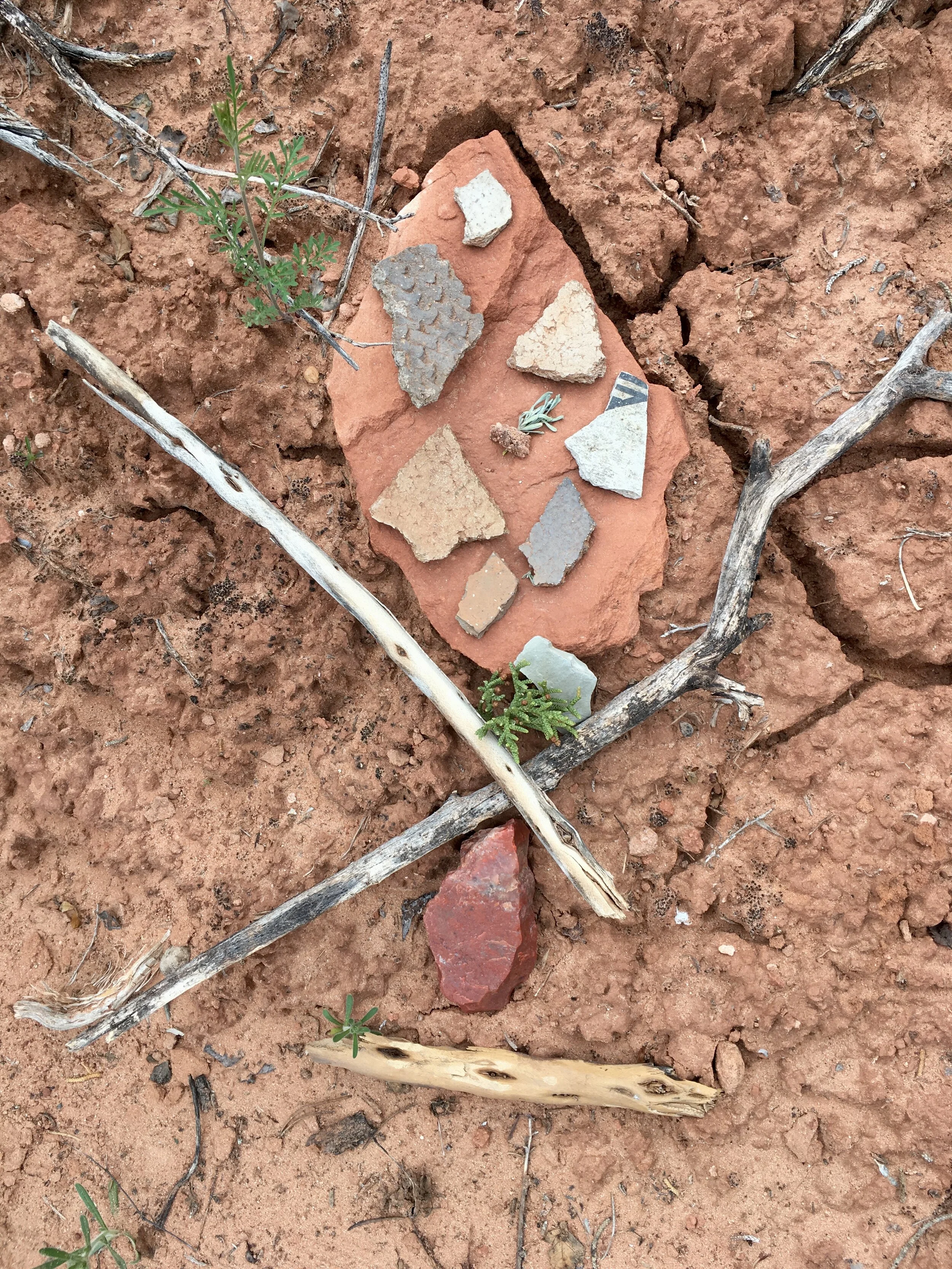 "I learned tools for coping with grief and how to stand in my power with integrity."