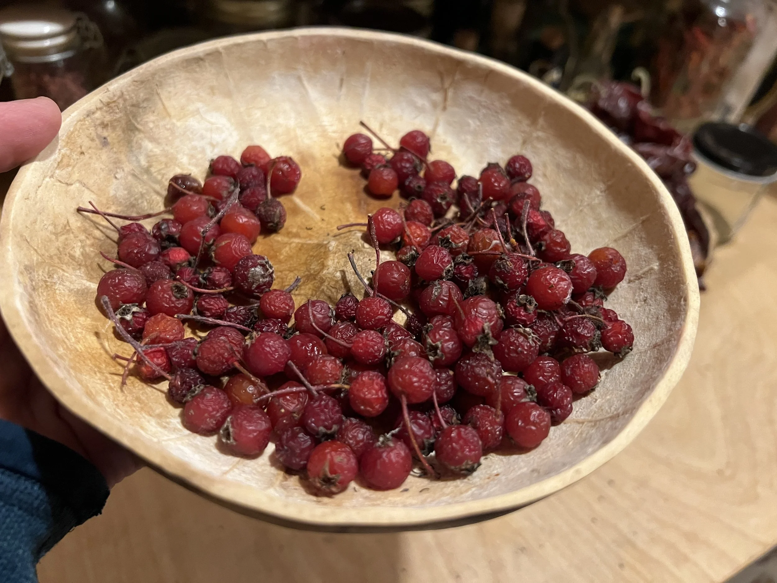mandy bishop-hawthorn harvest.JPG