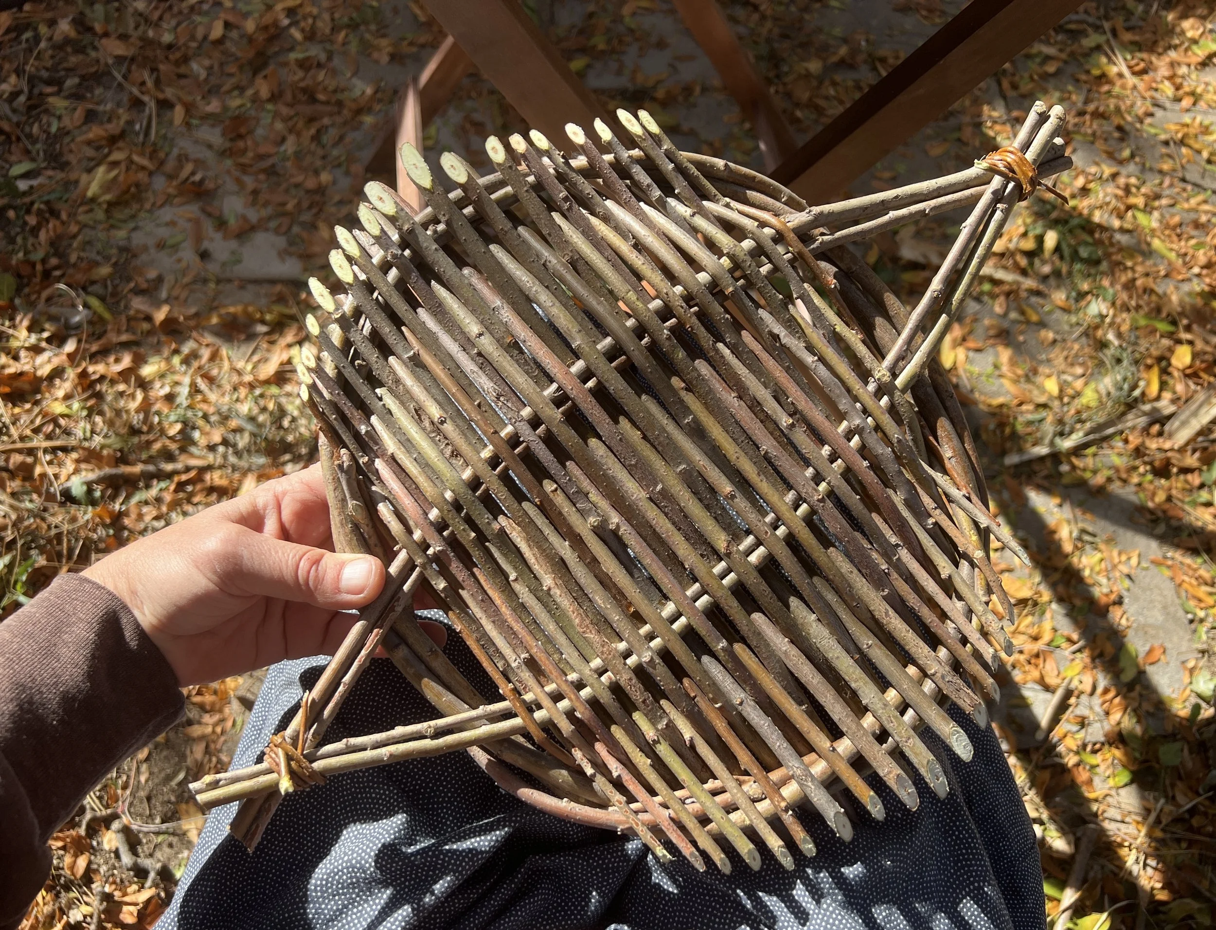Weaving Willow Tension Trays