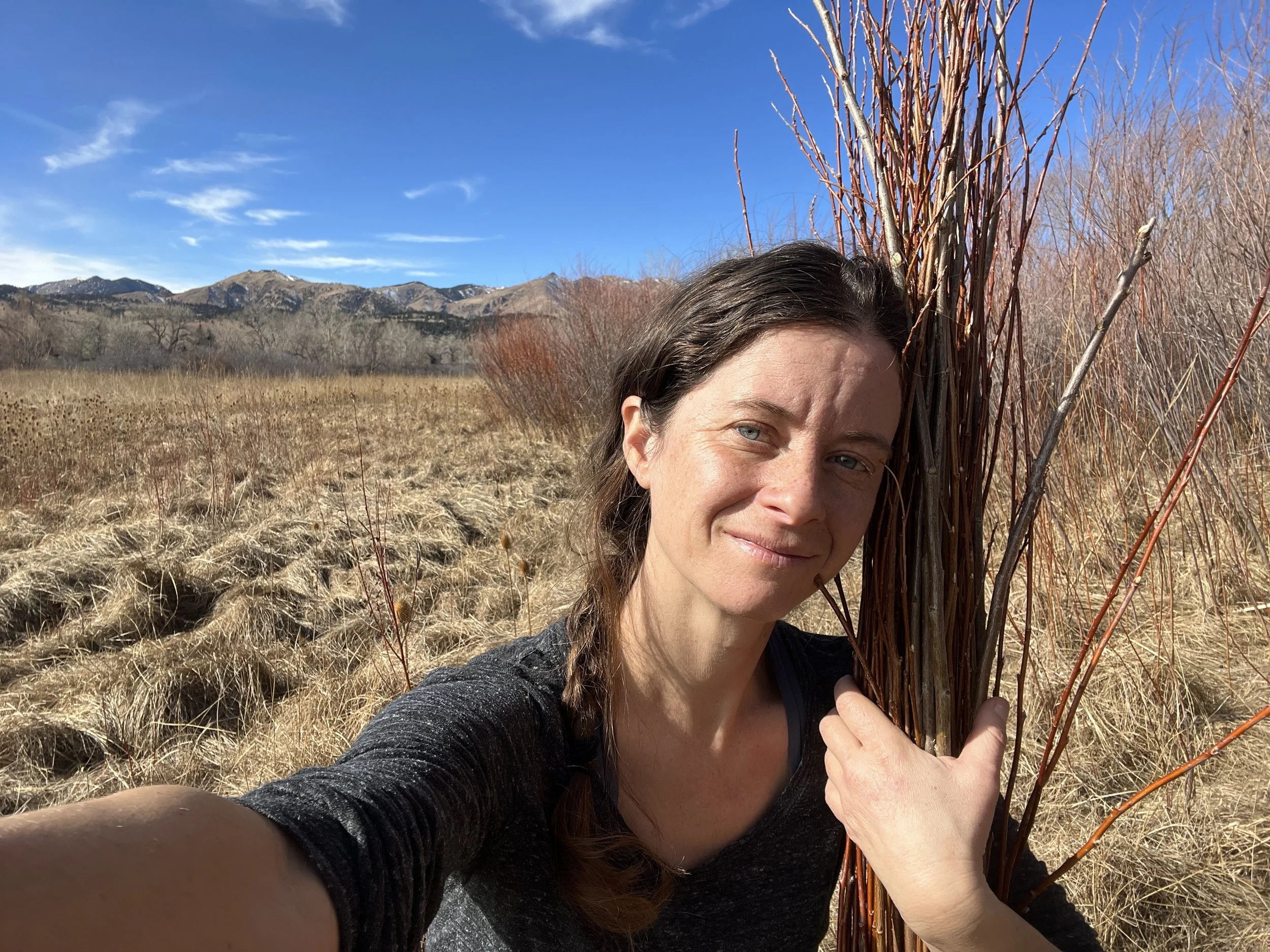 mandy bishop-willow harvest.JPG