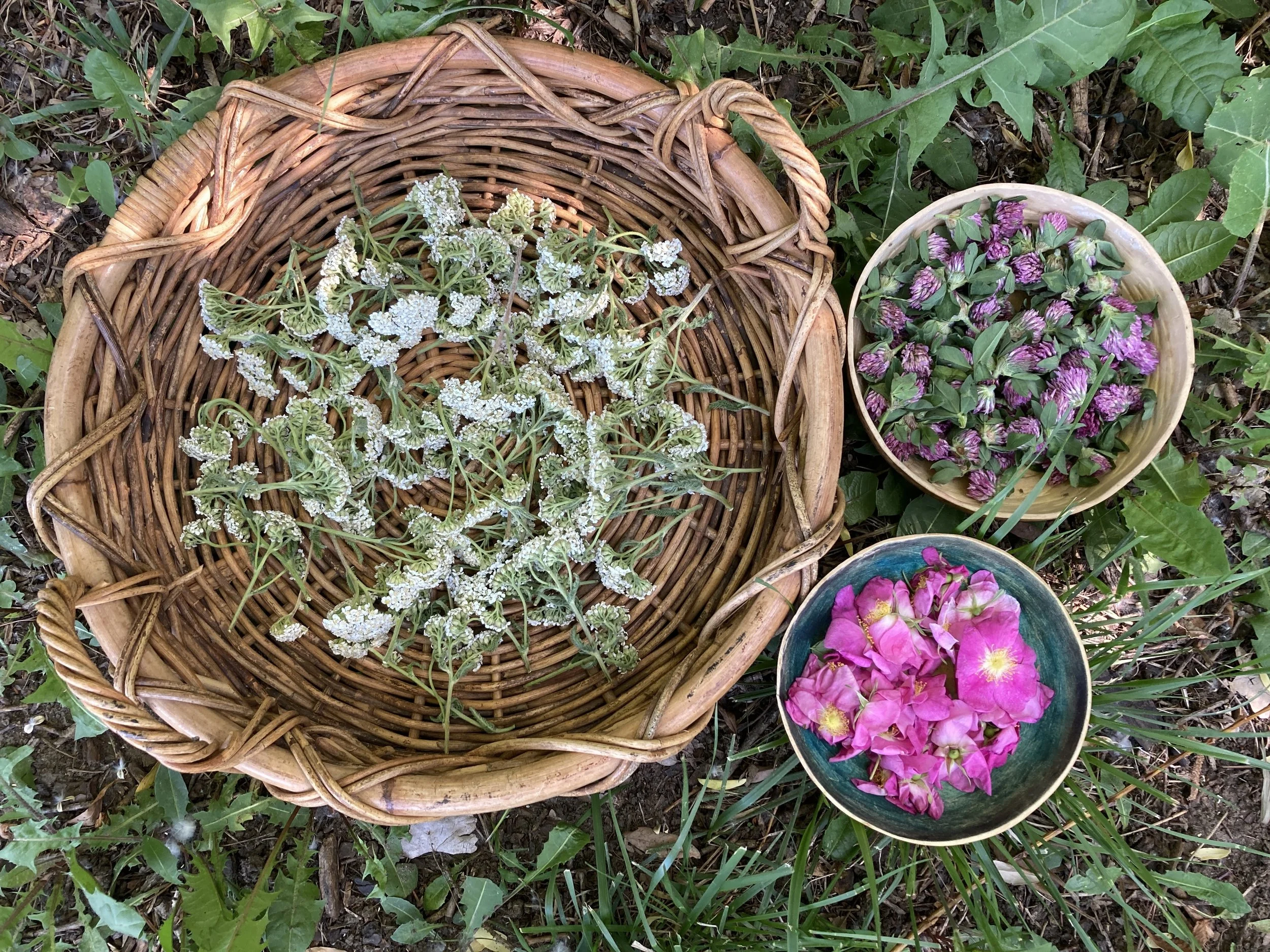 mandy bishop-harvest baskets.JPG