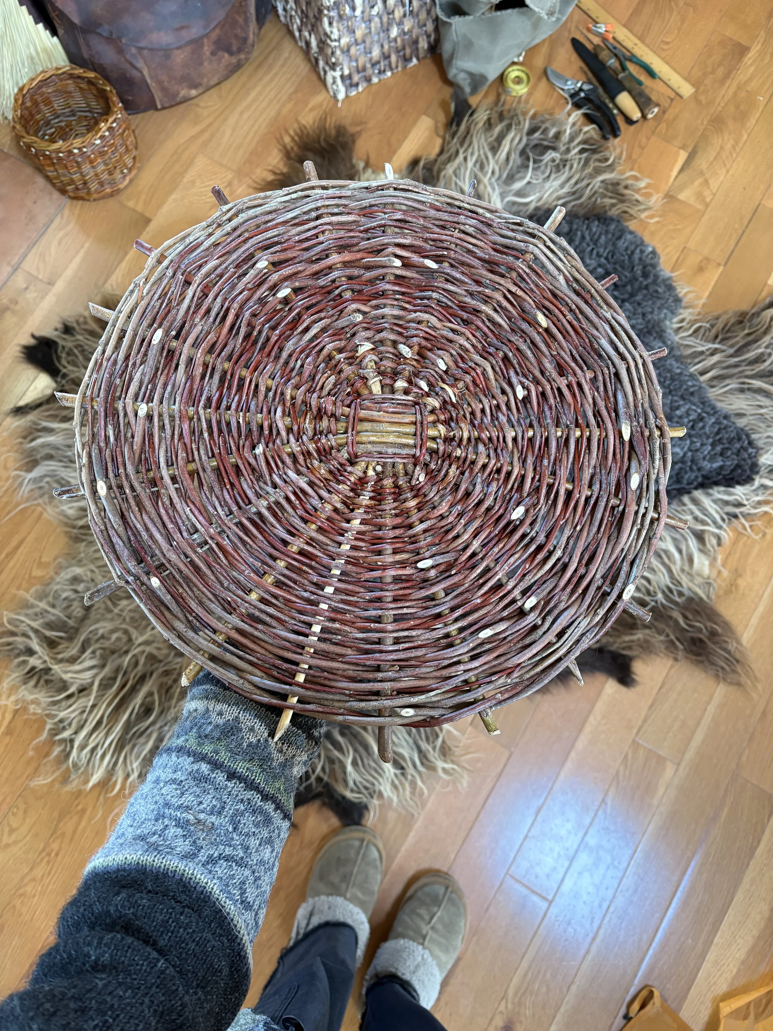 mandy bishop-willow base.JPG