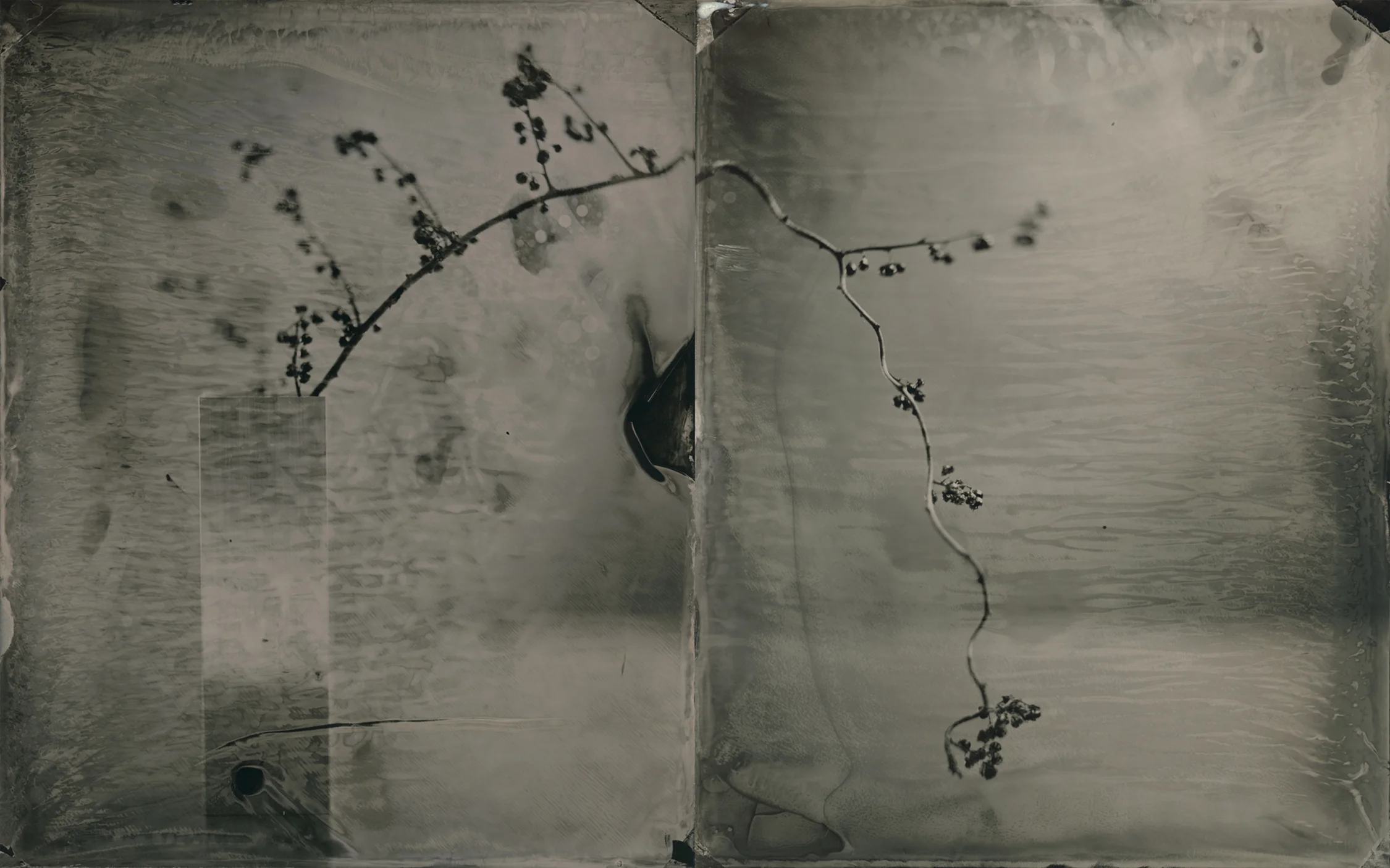 ikebana.jpg