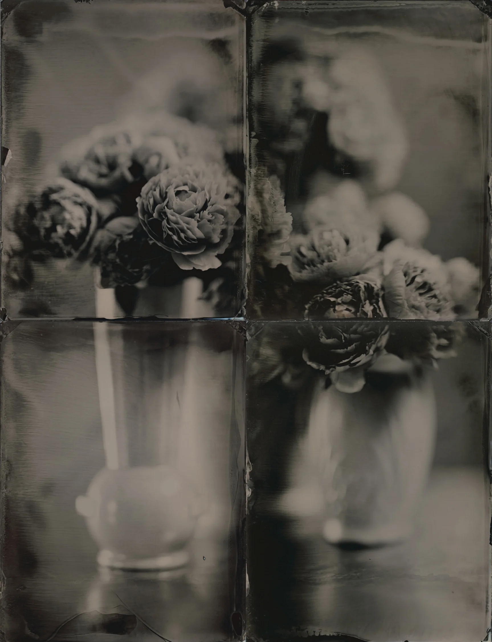 peonies in vases.jpg
