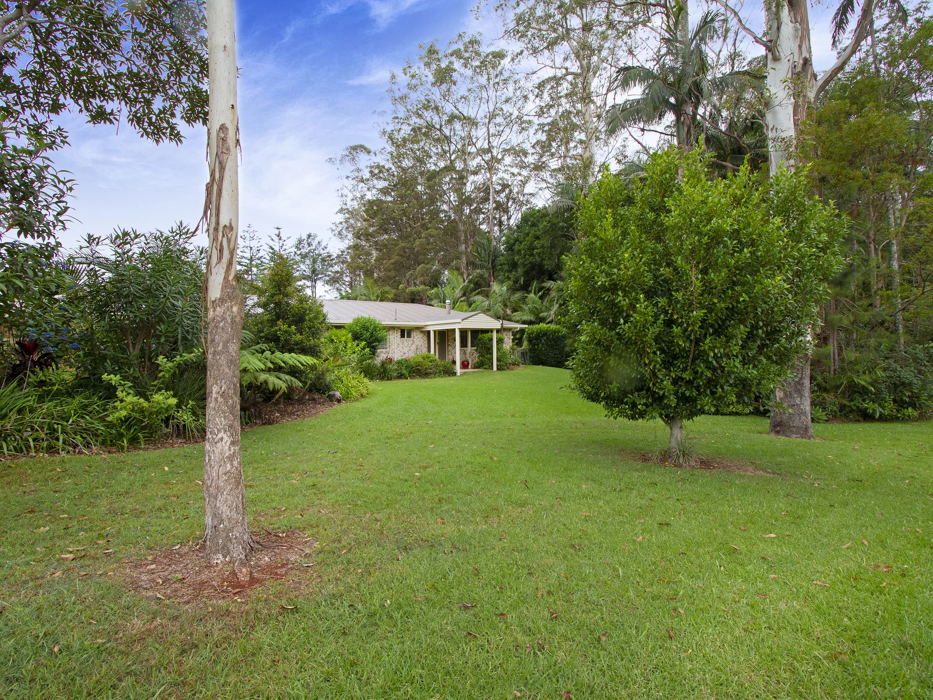 024_Open2view_ID554005-1_Corypha_Court_Mount_Tamborine.jpg