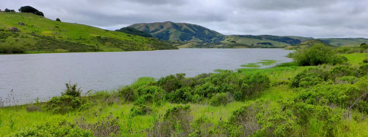 Nicasio-header.jpg