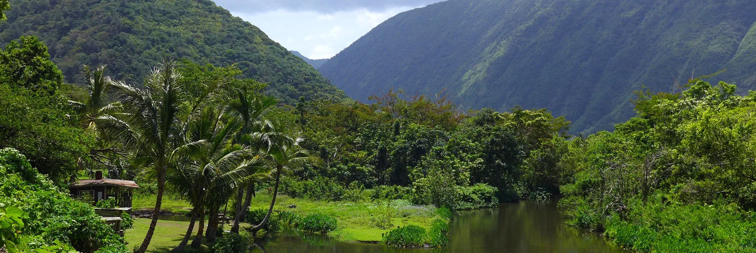 Waipio.jpg