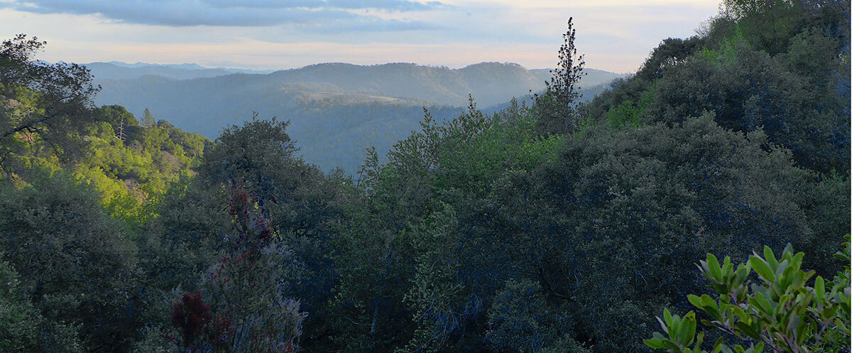 Henry Coe State Park