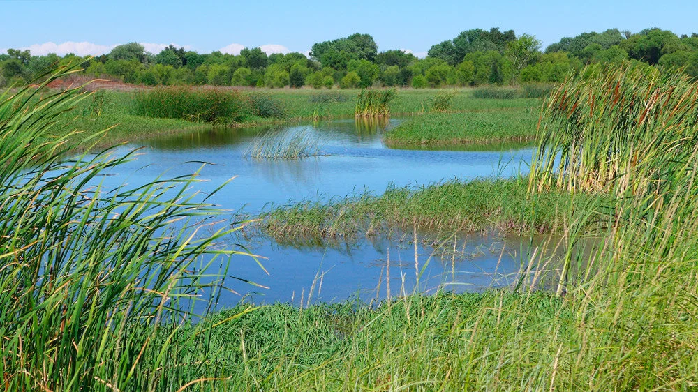 SanJoaquinWildlifePreserve-header.jpg