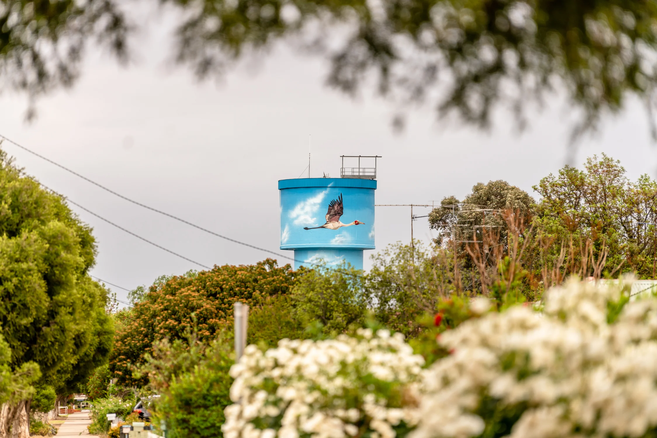 Regional Strategic Priorities