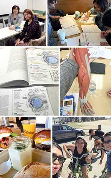写真左上から時計回りに: 1. 2014年4月に、日本でAzusaさんと初めてカウンセリングを行いました。 2. 解剖学の授業でテストのために、みんなで勉強しました。 3. Teas-V対策のための、チューターリングを受けました。 4. 語学学校の友達と、ベニスビーチへサイクリングしました。 5. お気に入りのダウンタウンのカフェにある「エッグスラット」です。 6. Teas-Vの勉強中です。とても難関のテストのため、なかなか合格点にいきません。