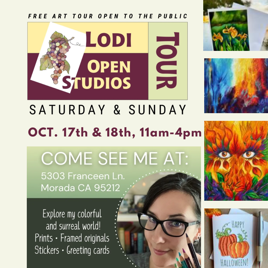 My studio is OPEN October 17th &amp; 18th, 2026 - Come out to Lodi Open Studios!
