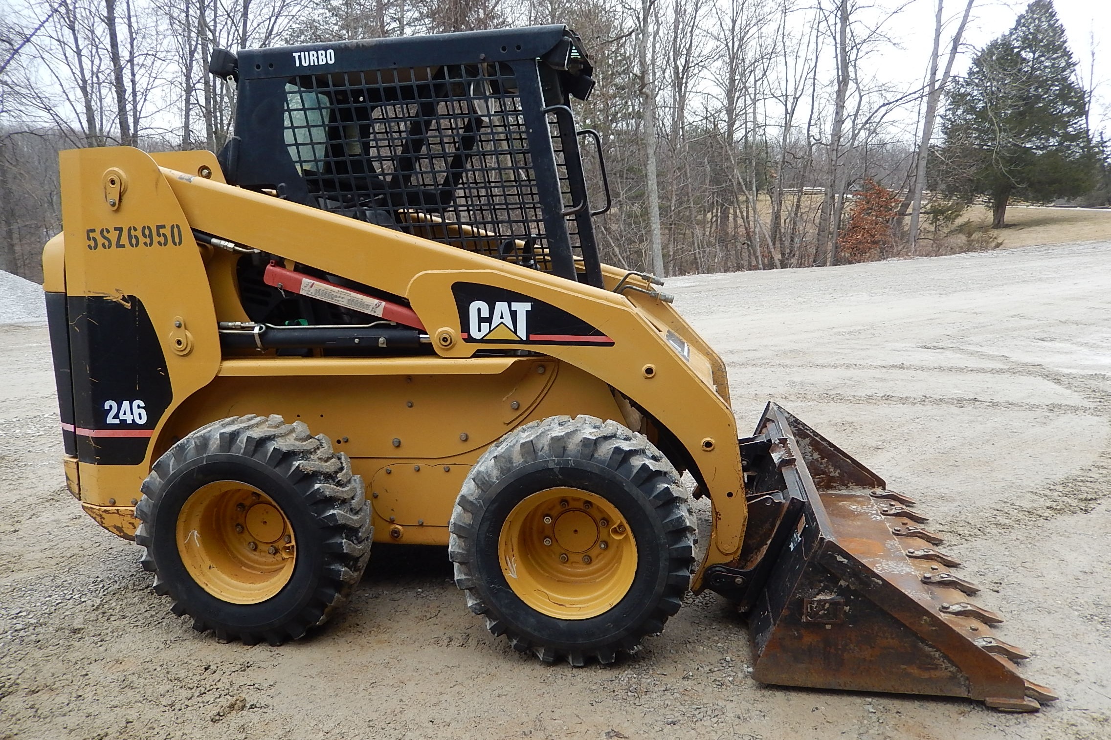 Cat Bobcat