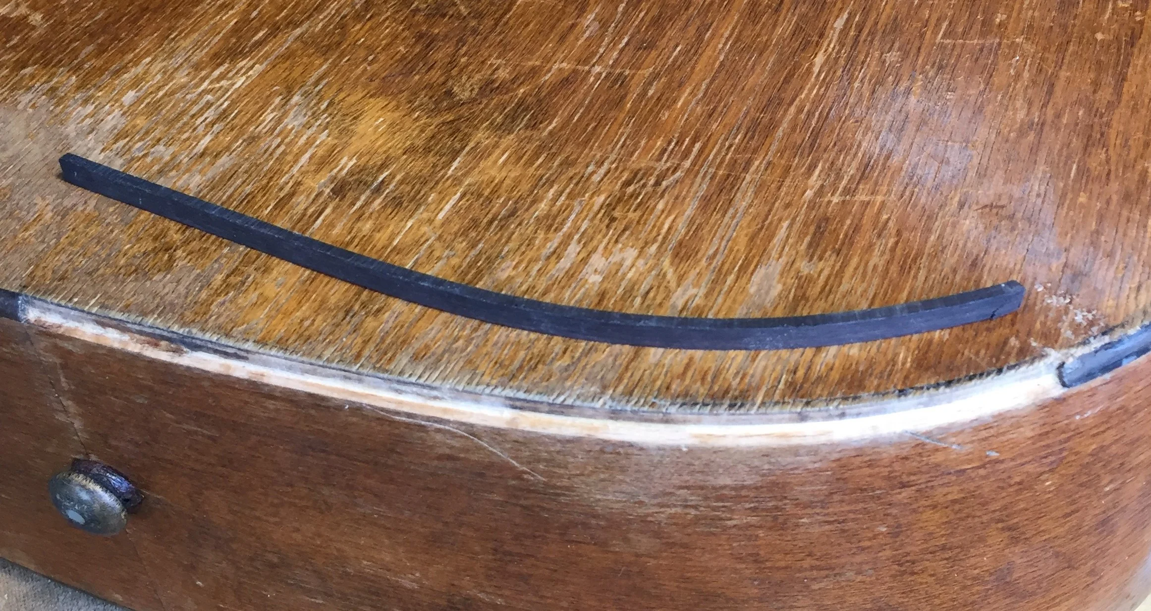ebony bind (5111).jpg