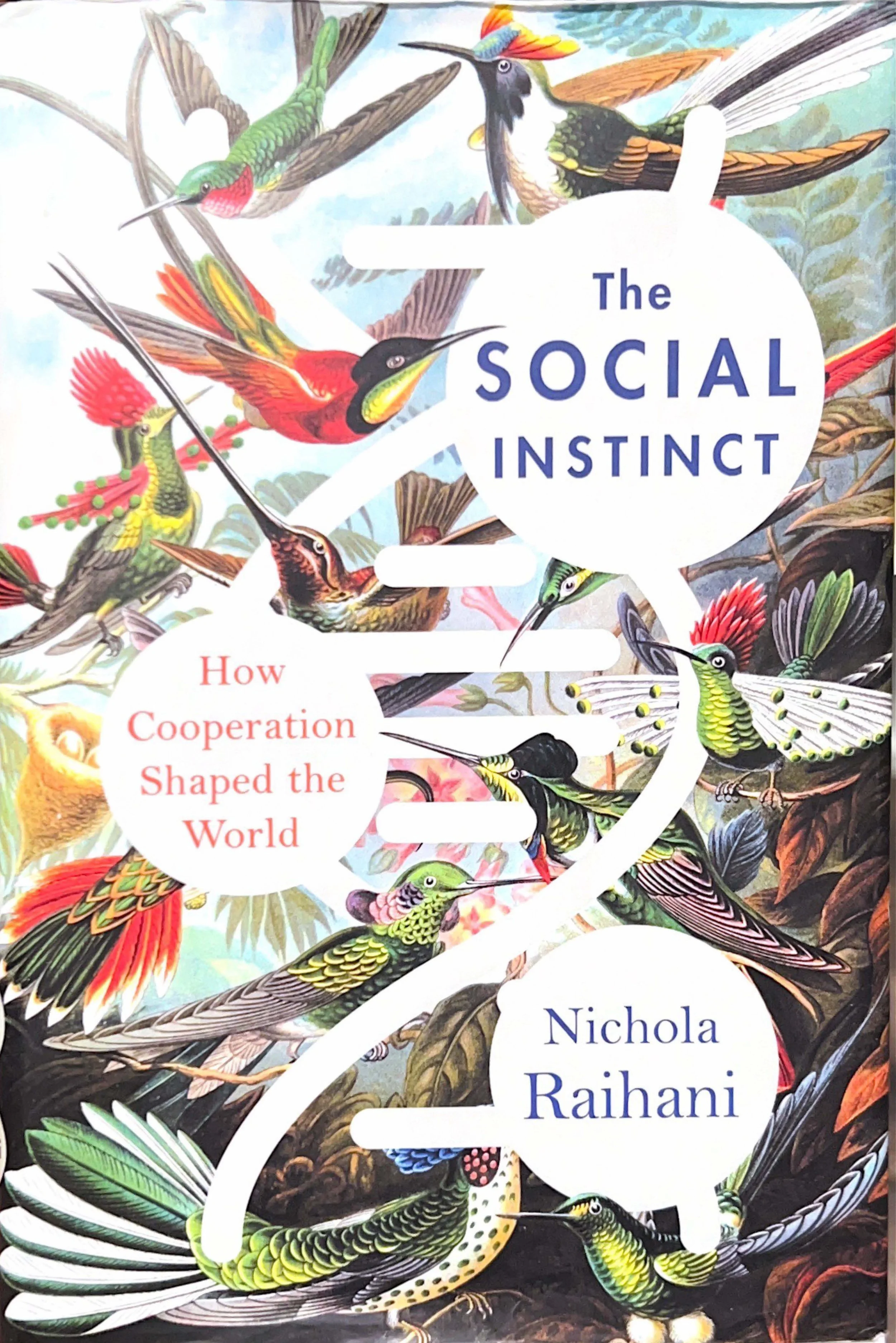 Social Instinct.jpg