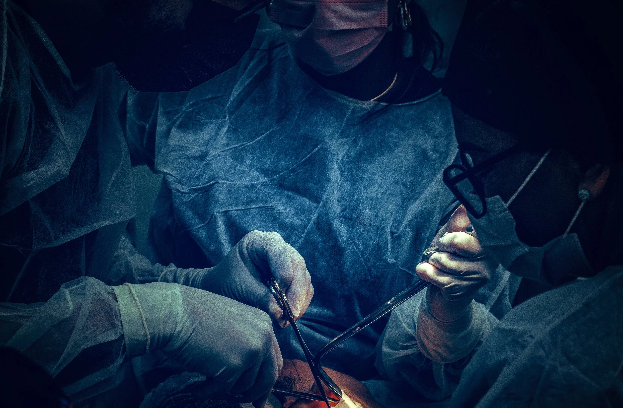 medical_2024_1.jpg