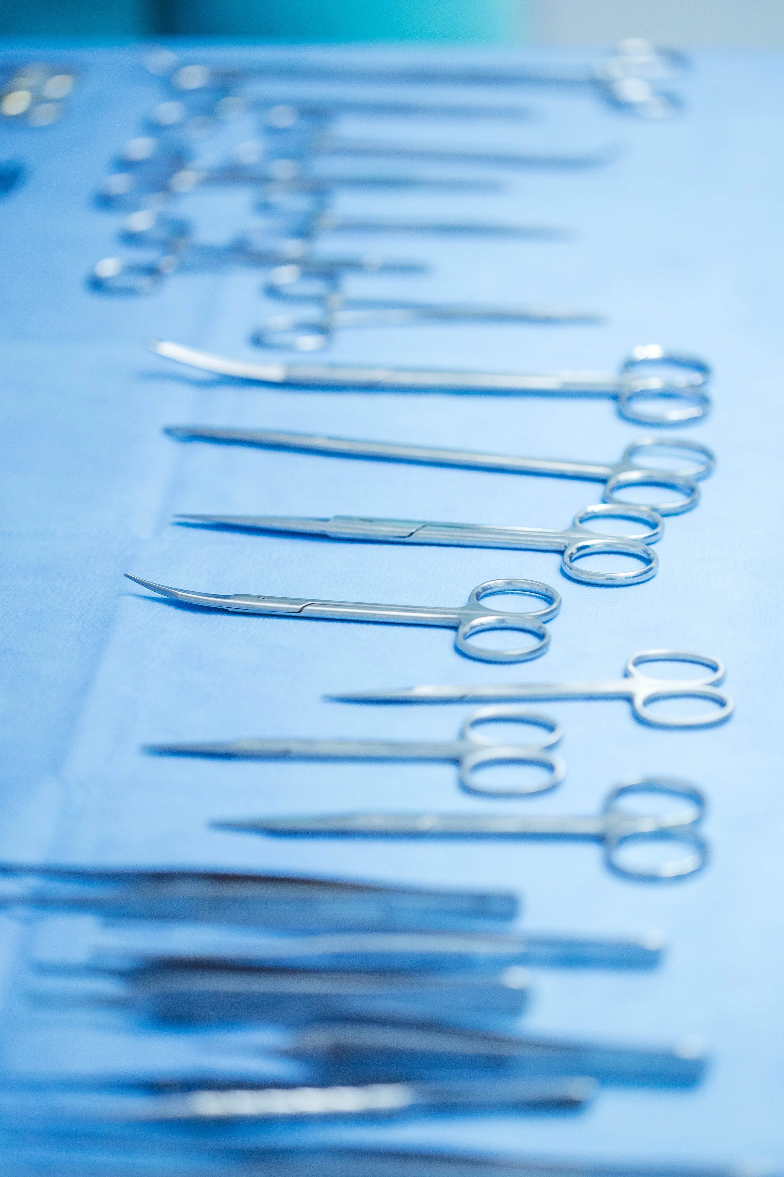 medical_2024_5.jpg