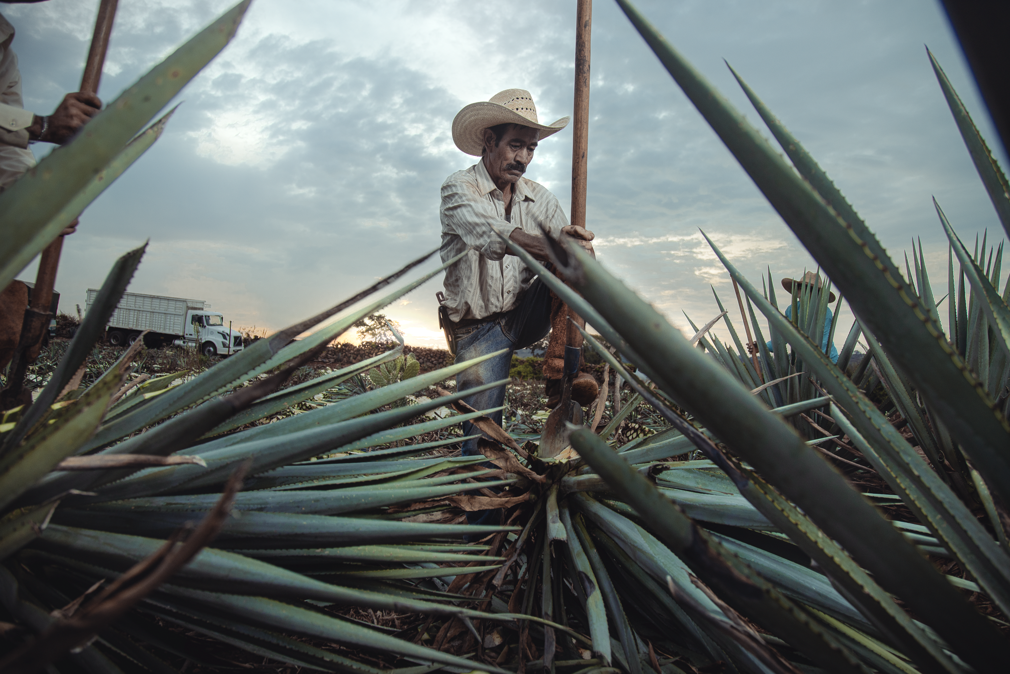 Screen Shot 2022-06-29 at 10.57.23 PM.png